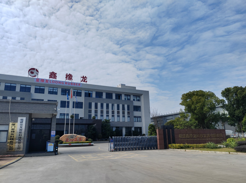Chine Xiamen Loongrubber Technic Co., Ltd Profil de la société